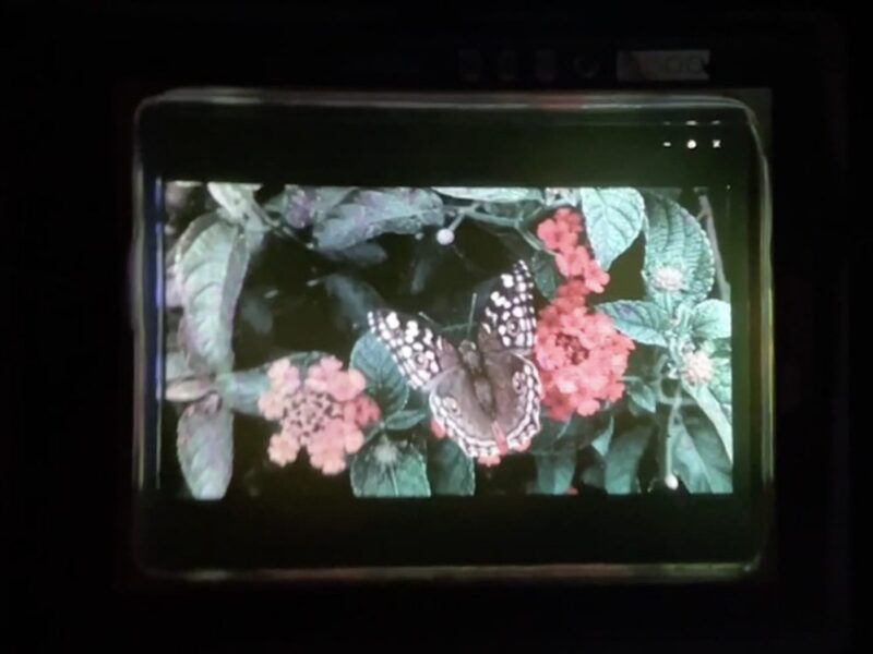 Full-color nanopore quantum dot micro-display for AR/VR