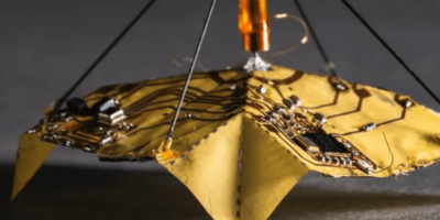 Gone with the wind – Microfliers