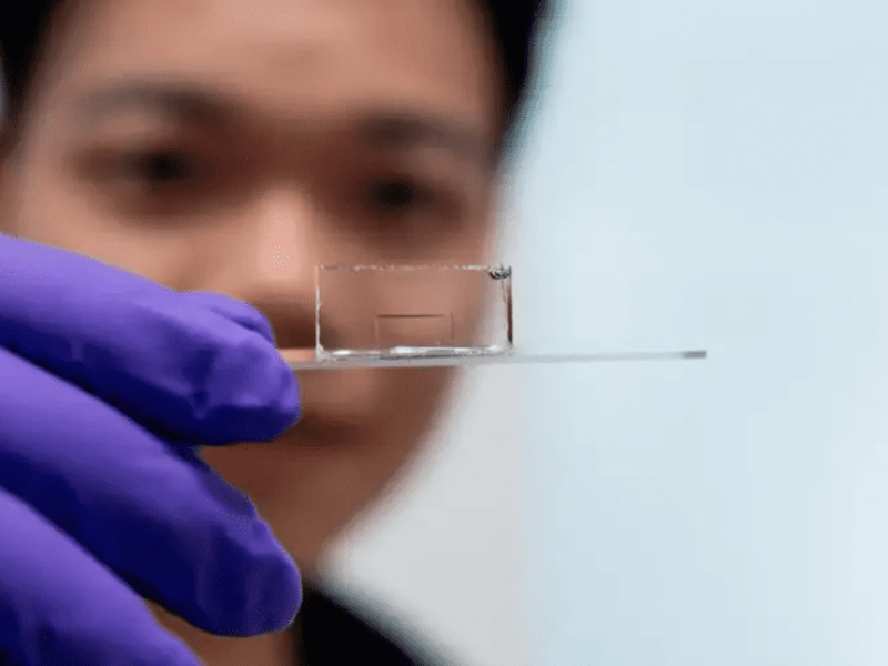 Scientists Invent Smallest Known Way To Guide Light