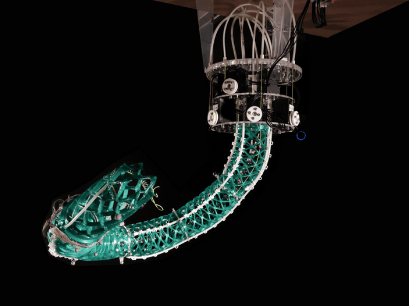 Close Robot Encounters of the Third Kind