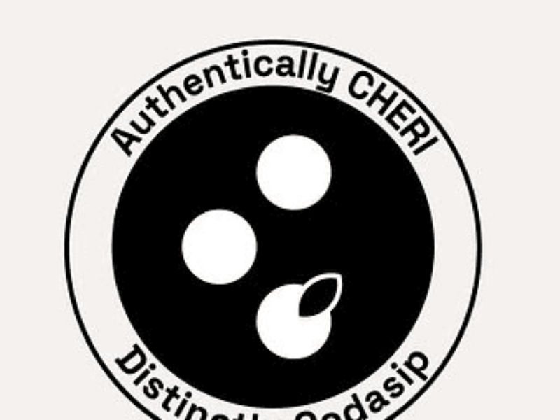 Codasip donates CHERI RISC-V SDK to open source