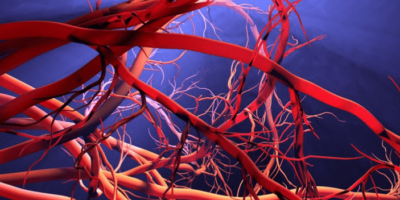 Wireless communication in the blood