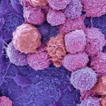 ‘Biocomputer’ combines lab-grown brain tissue with electronic hardware