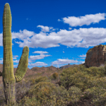 Amkor, Apple plan for chip packaging plant in Arizona