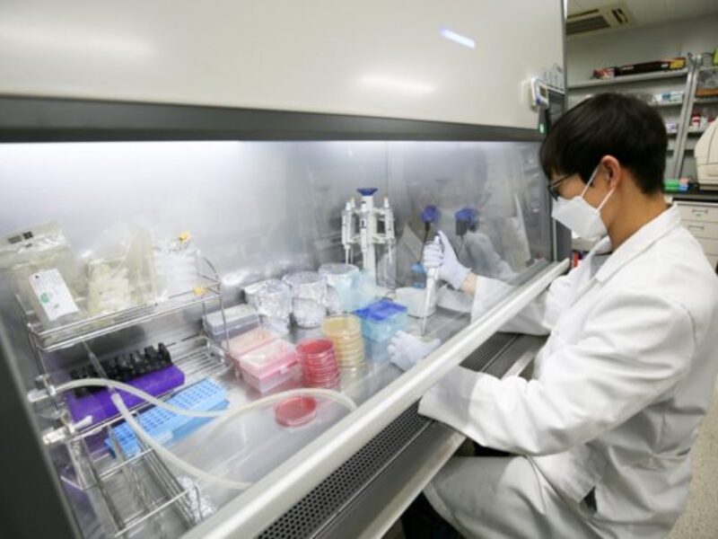 ‘SunLike’ LEDs tested for plant growth benefits