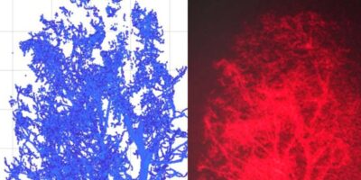 Google mise sur un affichage tête haute holographique à 360° en TR