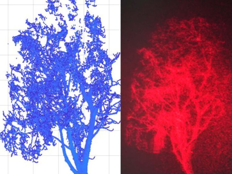Google looks at real time 360° holographic head up display  