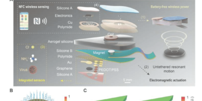 A miniaturized soft electromagnetic swimmer (SES).