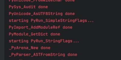 VyperCore shows RTL simulation of RISC-V core, plans hardware