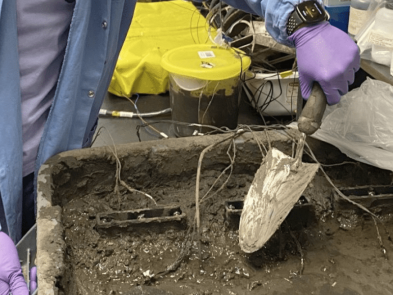 This battery is doing a beautiful dirty job