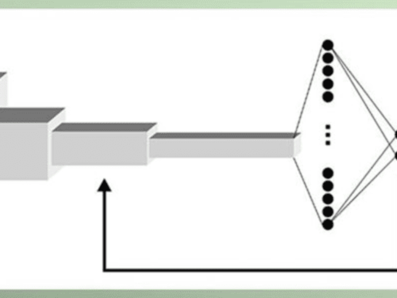 New AI model detects ninety percent of lymphatic cancer cases