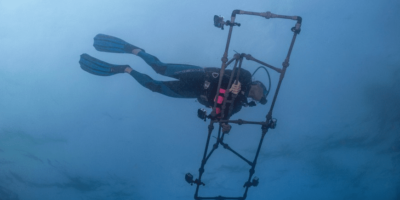 AI-powered system maps corals in 3D in record time