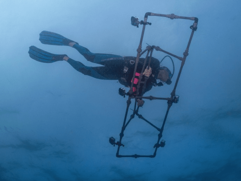 AI-powered system maps corals in 3D in record time