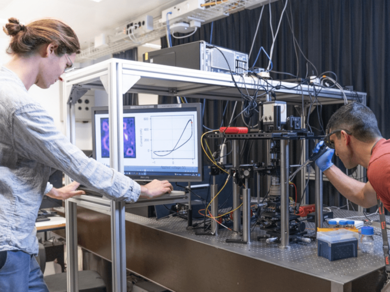 ‘Brain inspired computing’ – two chips that use ions, rather than electrons