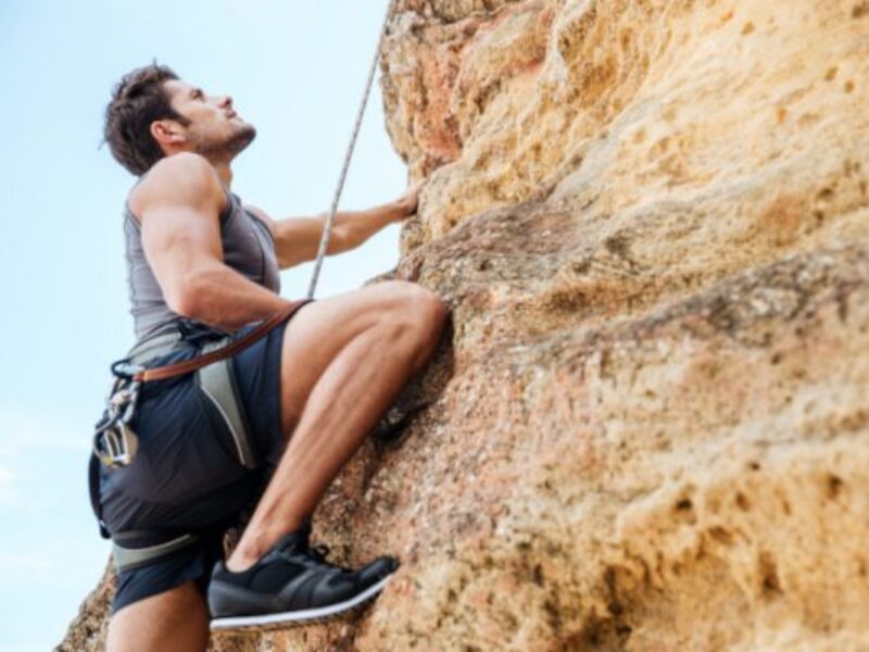 Global chip market growth crept higher in February