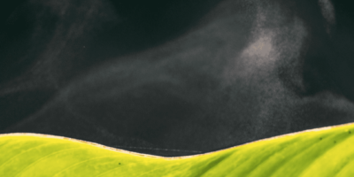 Energy from evaporating tap or seawater