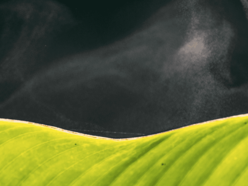 Energy from evaporating tap or seawater