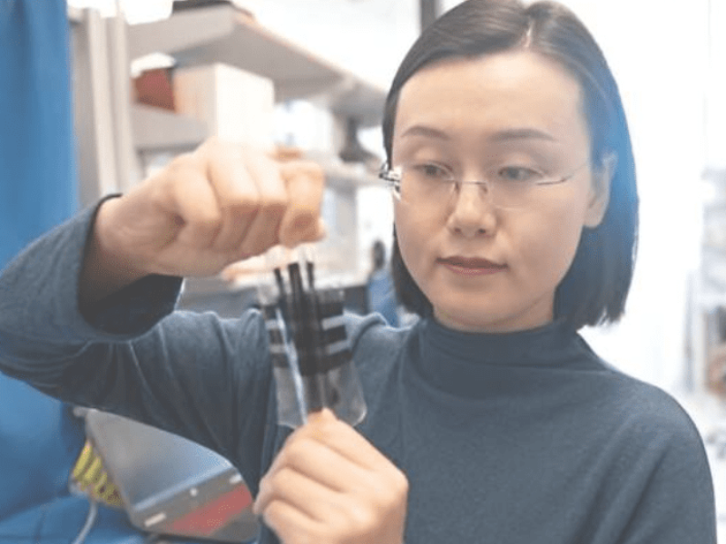 Stretchable e-skin for human-level touch sensitivity