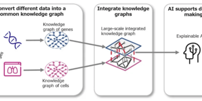 “Explainable AI” for use in genomic medicine and cancer treatment planning