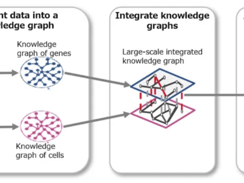 “Explainable AI” for use in genomic medicine and cancer treatment planning