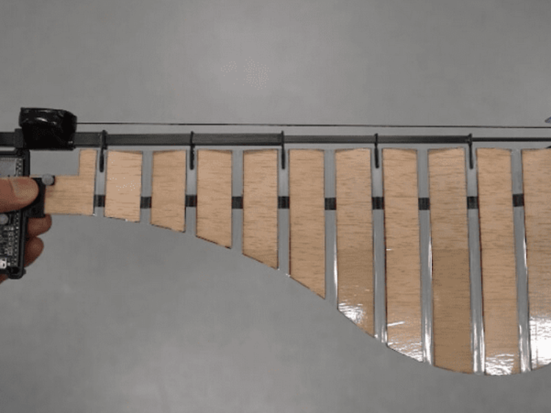 One-winged drones take off