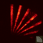 Turning infrared light visible