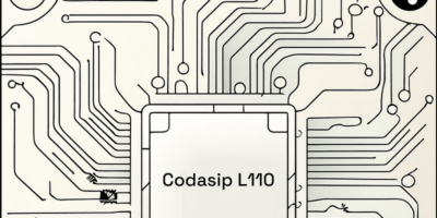 Customizable RISC-V core for power-efficient applications