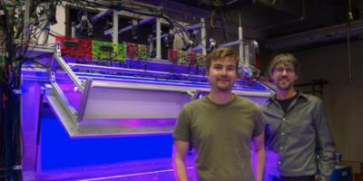 Fly behavior could enable drones to find chemical leaks