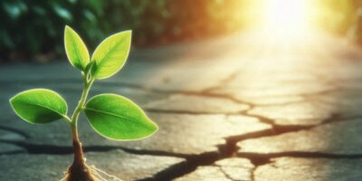 MEMS market will return to growth in 2024, says Yole