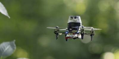 Ant insights lead to robot navigation breakthrough