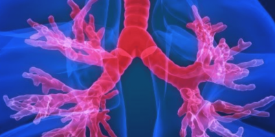 Soft, slender, magnetic vine robots “grow” as they move