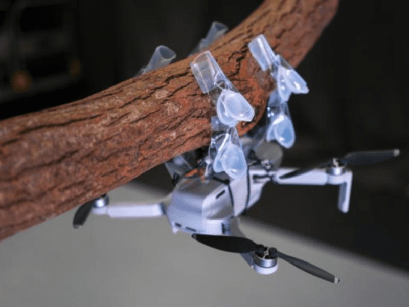 Film-Balloon Soft Robots unfold their wings