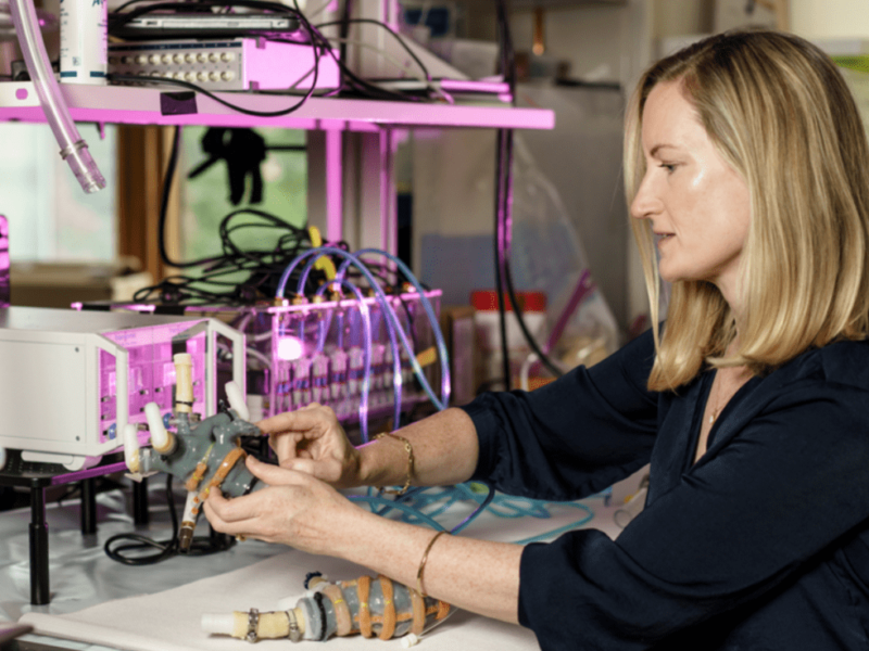 Engineering and matters of the heart