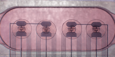 ‘Rent a brain’ bioprocessor