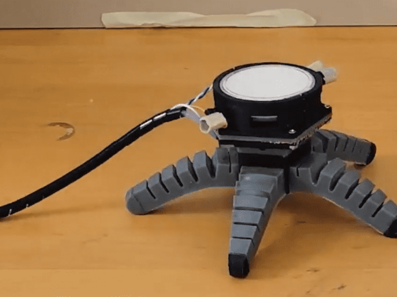 Biohybrid robots controlled by electrical impulses — in mushrooms