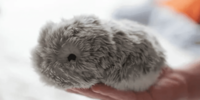 Love thy robot as thyself