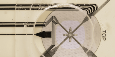 e-Flower records neuronal activity with electronic petals