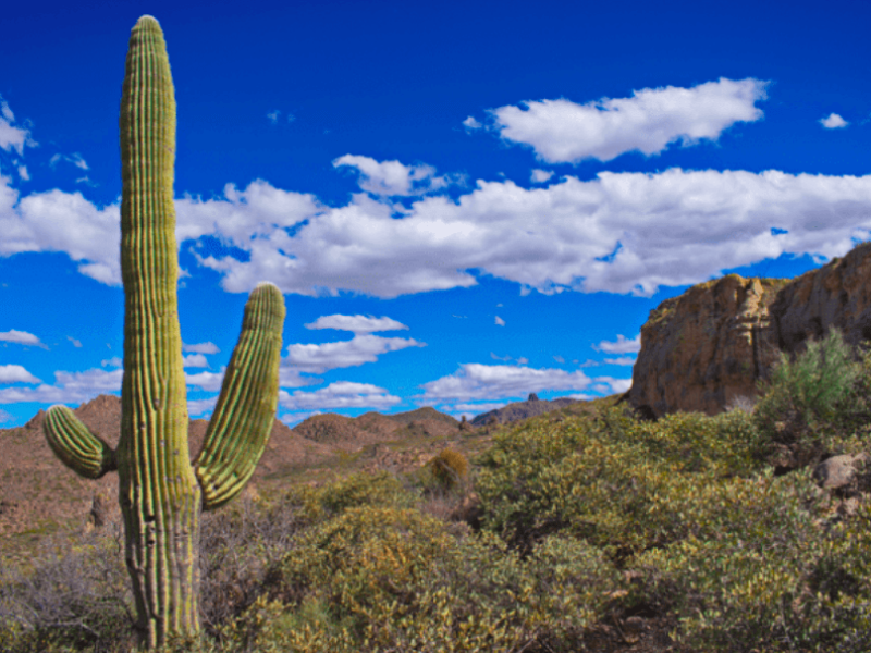 TSMC, Amkor to bring advanced packaging to Arizona