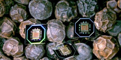 MintNeuro raises £1m for brain implant