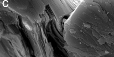 Amélioration de la cathode d&rsquo;une batterie potassium-ion