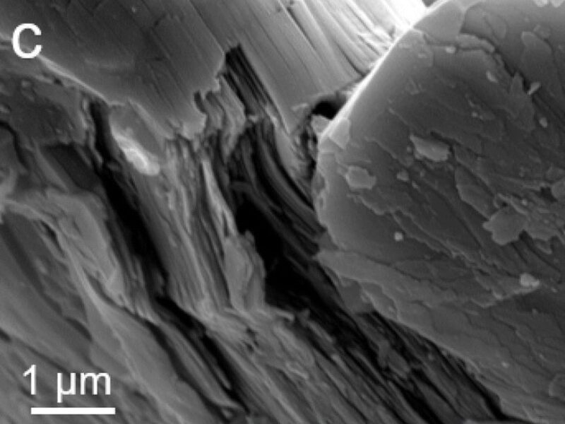 Amélioration de la cathode d&rsquo;une batterie potassium-ion