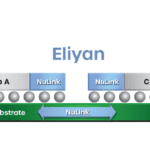 Eliyan ports chiplet interconnect to Samsung 4nm process