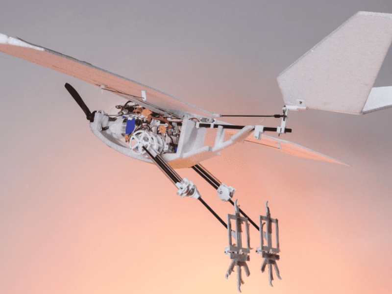 Bird-inspired drone can jump for take-off