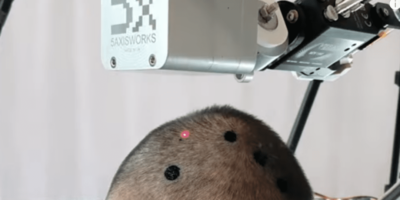 Electronic ‘tattoos’ for brain monitoring