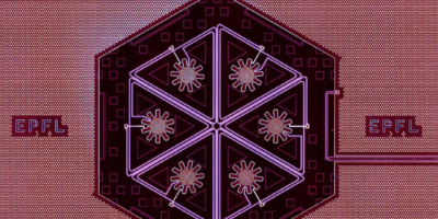 Macroscopic oscillators move as one at the quantum level