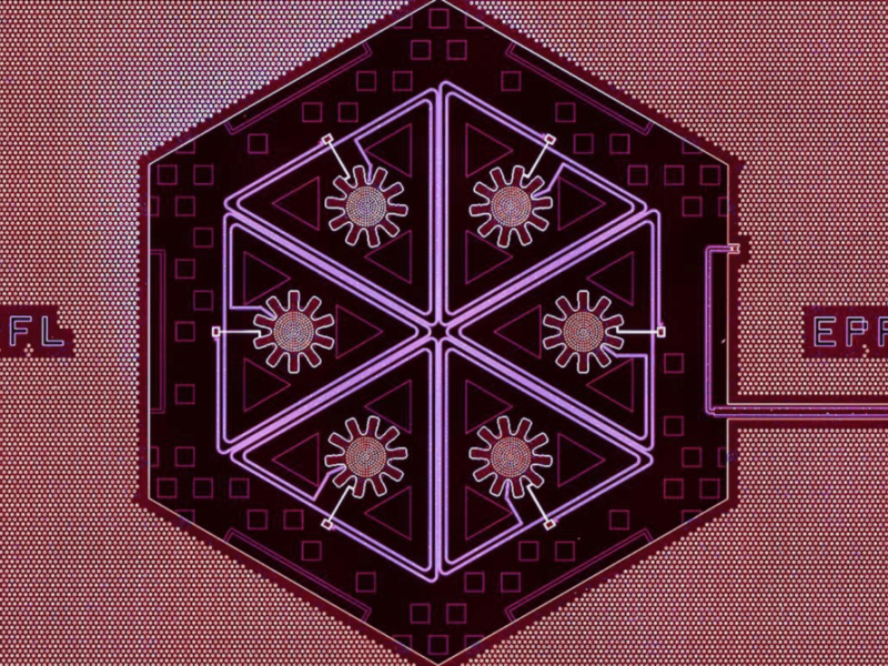 Macroscopic oscillators move as one at the quantum level