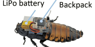 Advanced technology to control Cyborg Insect swarms