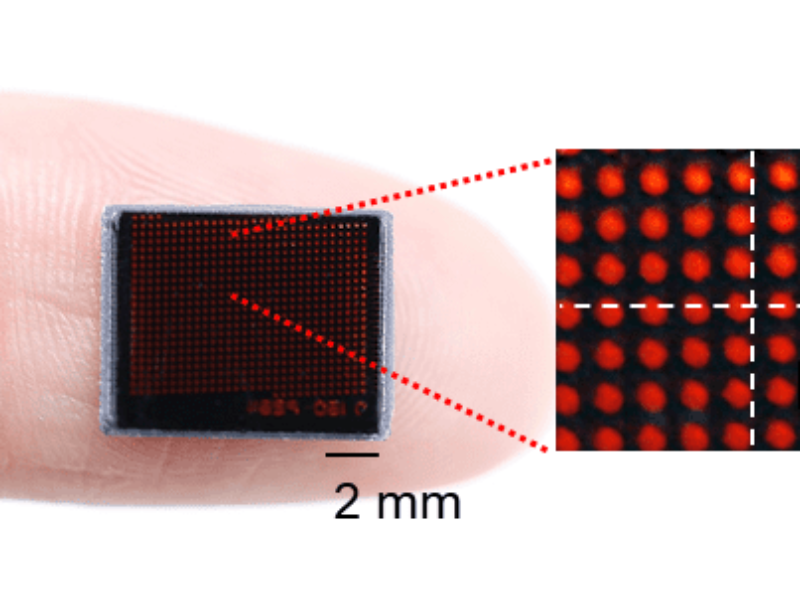 Insect-Eye-Inspired Camera Capturing 9,120 Frames Per Second​