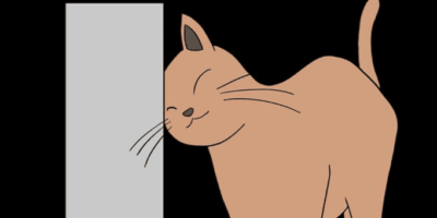 A cat-like robot mimicking bunting behavior