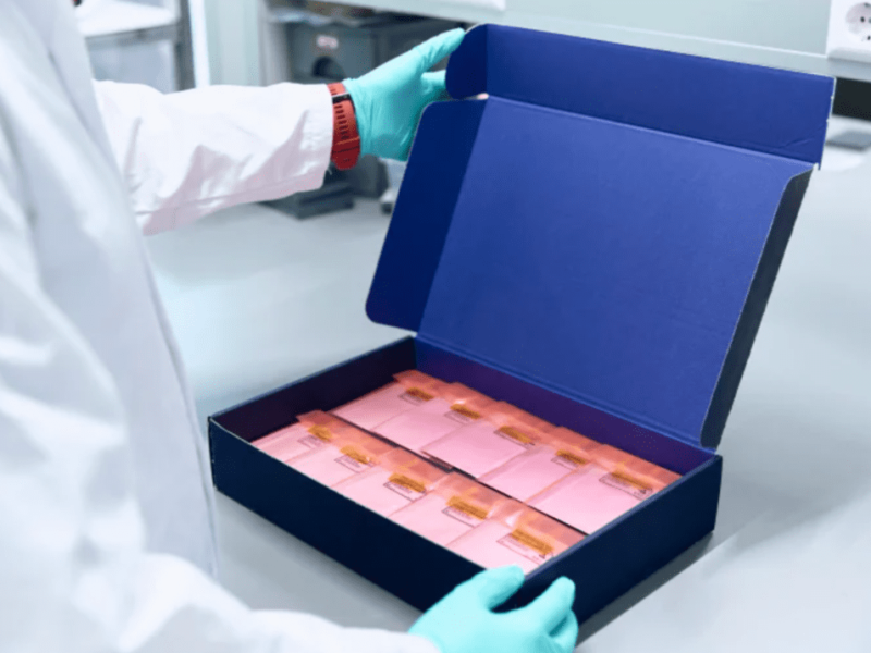 Pure silicon battery cell tops 500 cycles without external pressure